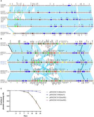 Occurrence and characterization of NDM-5-producing Escherichia coli from retail eggs